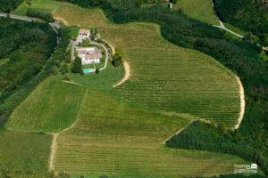 Aerial view of wine estate